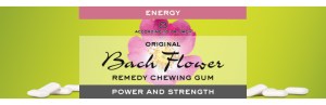 bach flower energy